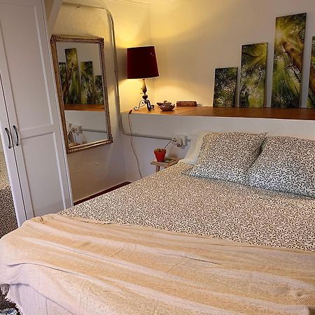 La Casita Del Bosque Apartment Sant Pere De Ribes Ngoại thất bức ảnh