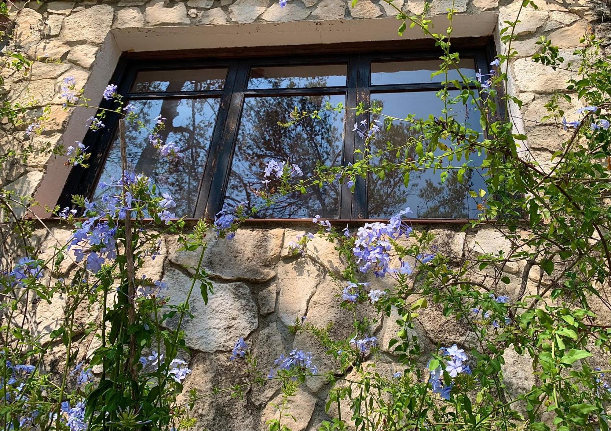 La Casita Del Bosque Apartment Sant Pere De Ribes Ngoại thất bức ảnh